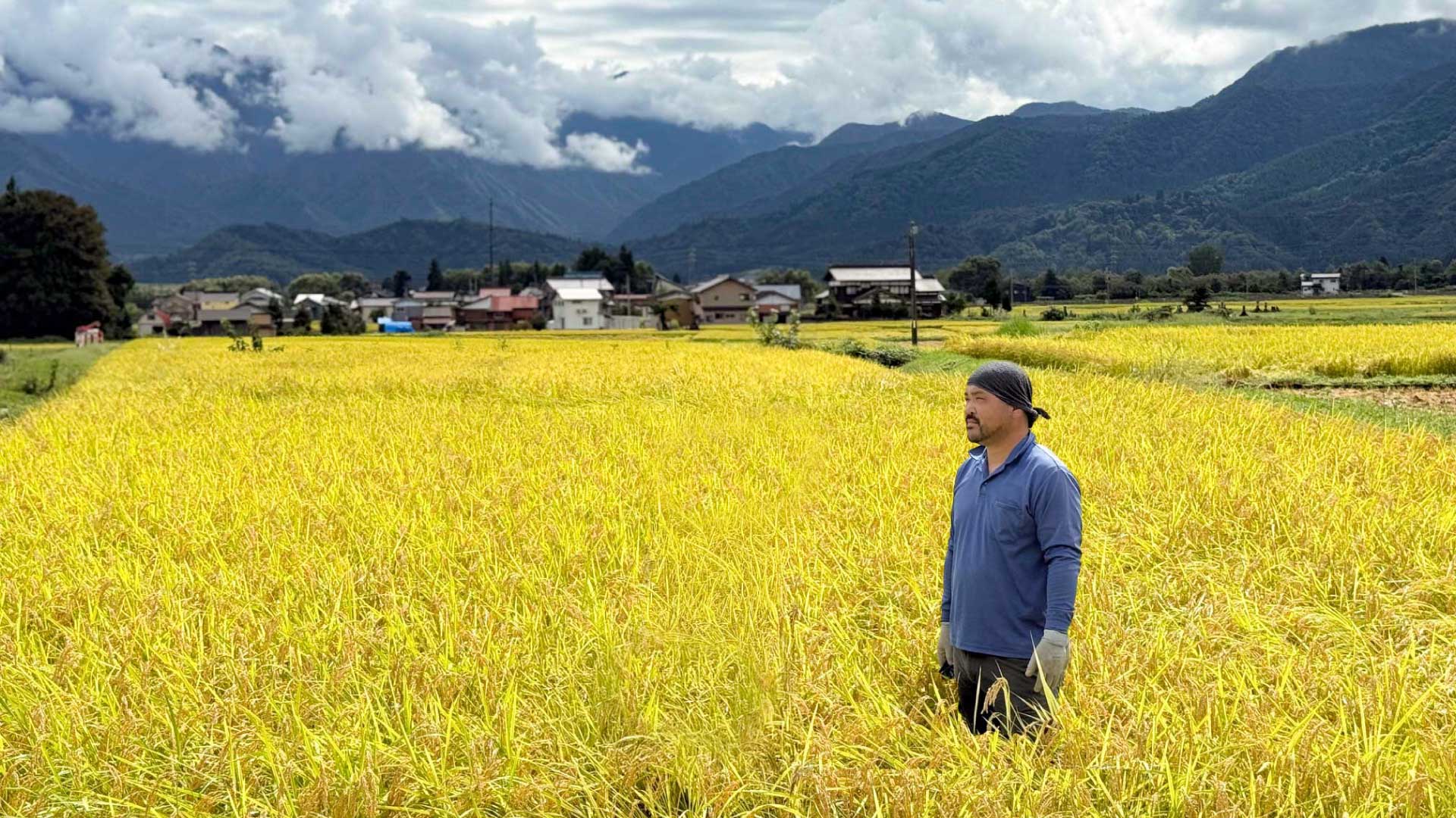 美味しい南魚沼産コシヒカリをお届けします