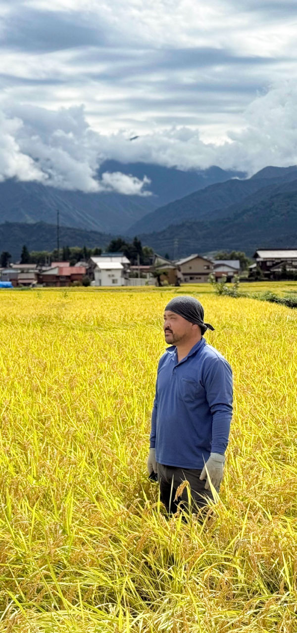 南魚沼産コシヒカリを作っています