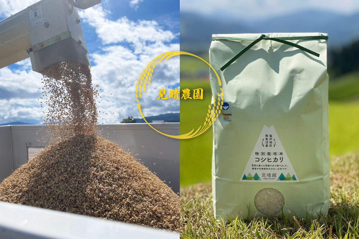 自家製南魚沼産コシヒカリ収穫 見晴農園 みはらしのうえん