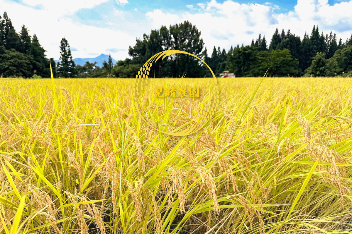 西山の棚田 見晴農園 みはらしのうえん