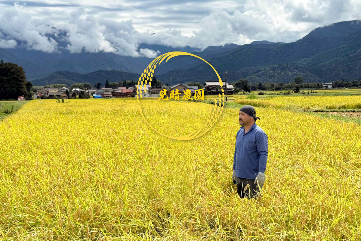 旨い米を作り続ける 見晴農園 みはらしのうえん