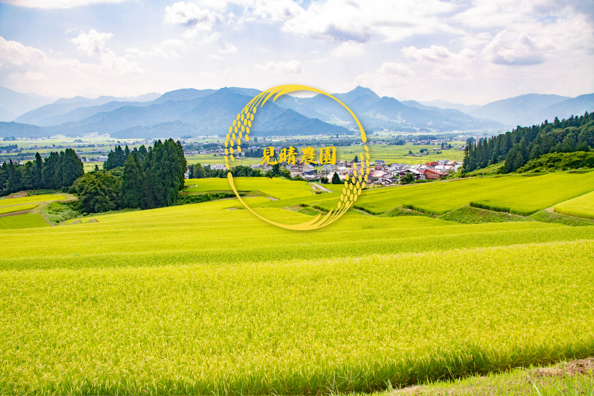 棚田